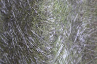 Rhayader fibreglass roof work